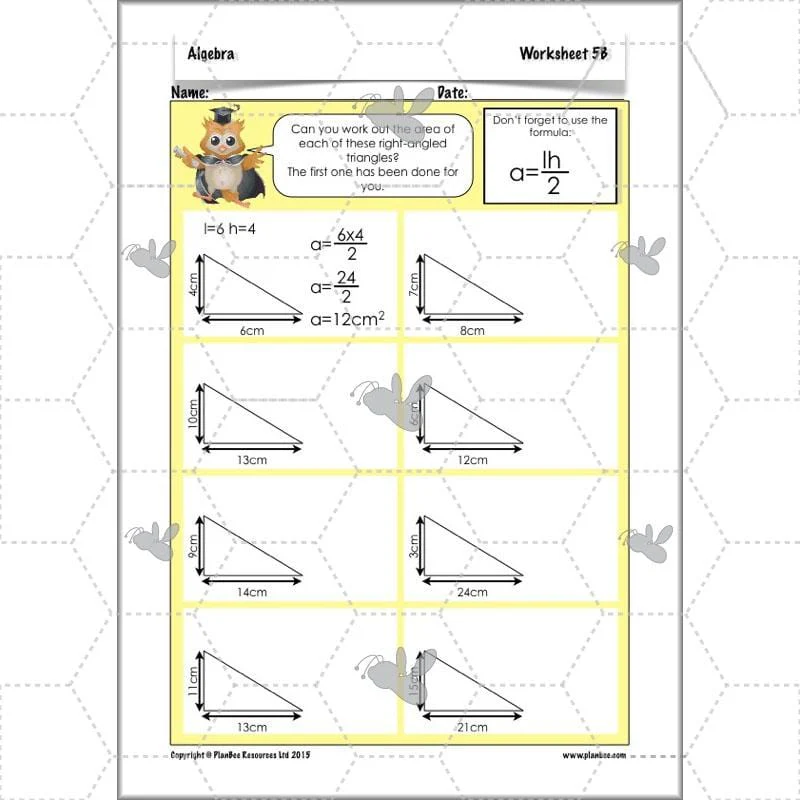 Introduction to Algebra - Image 24