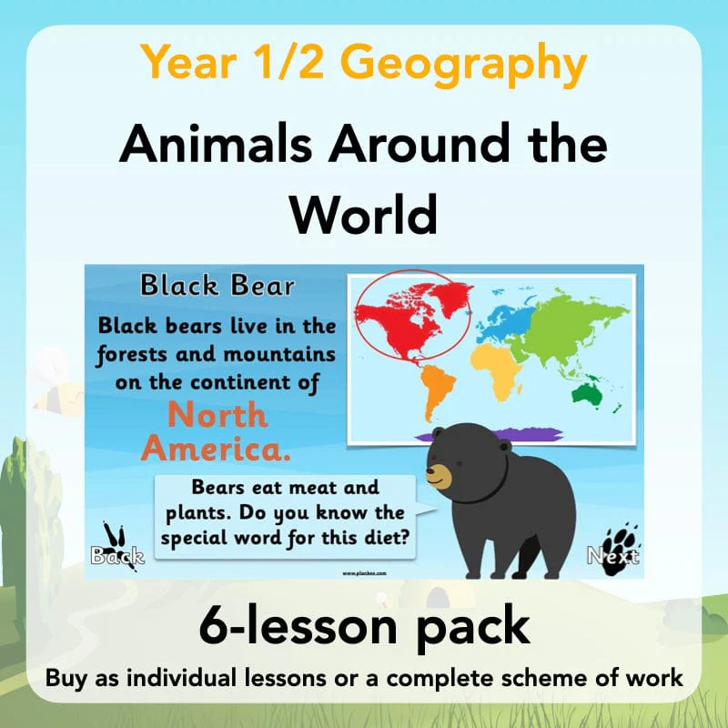 Animals Around the World