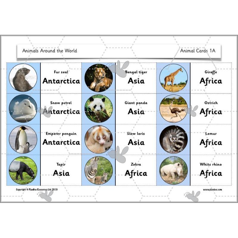 Animals Around the World - Image 16