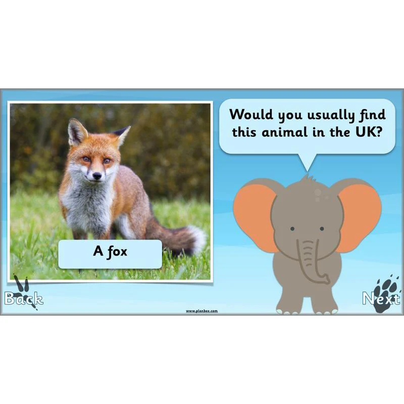 Animals Around the World - Image 5