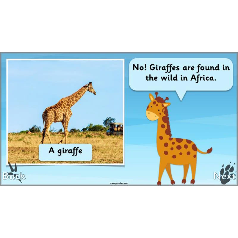 Animals Around the World - Image 66