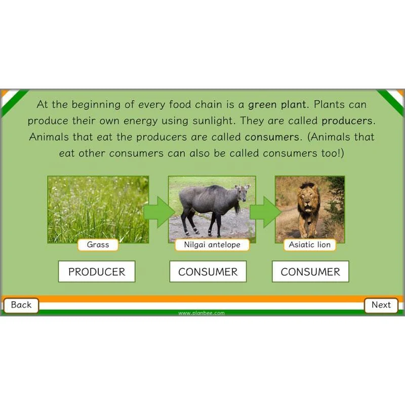 Animals of India - Image 12