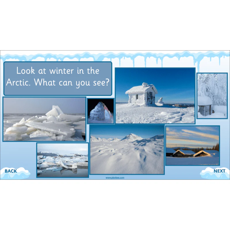 Let's go to the Arctic - Image 6
