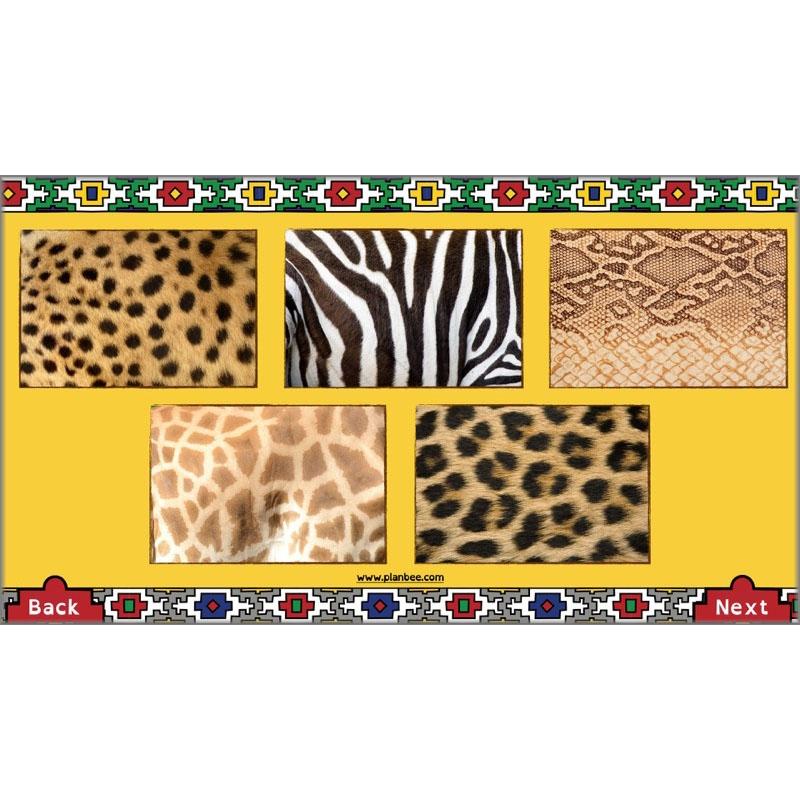 Art of Africa - Image 10