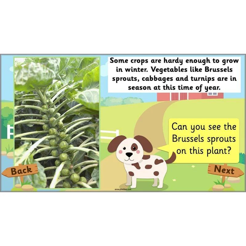 At the Farm - Image 6