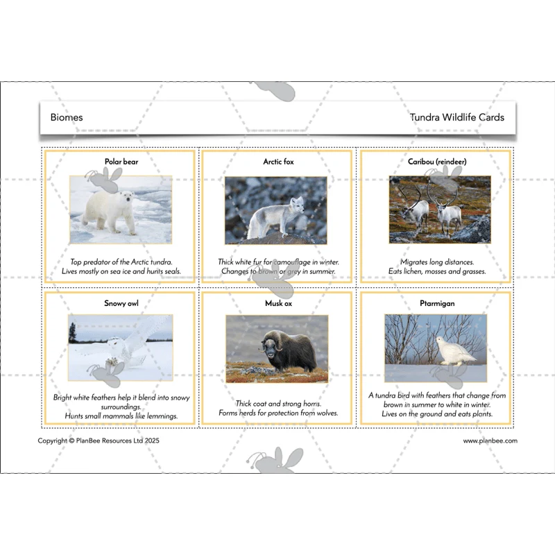 Biomes - Image 22