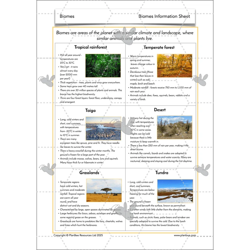 Biomes - Image 32