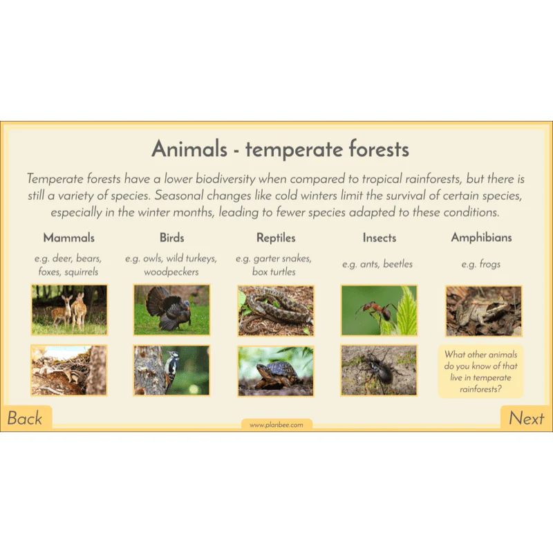 Biomes - Image 38