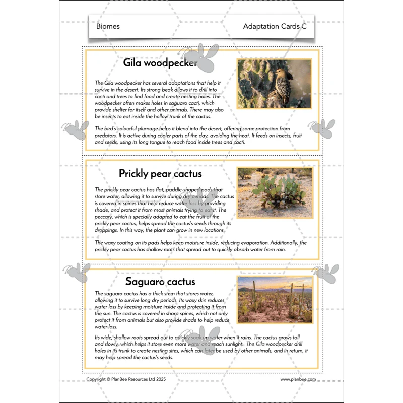 Biomes - Image 55