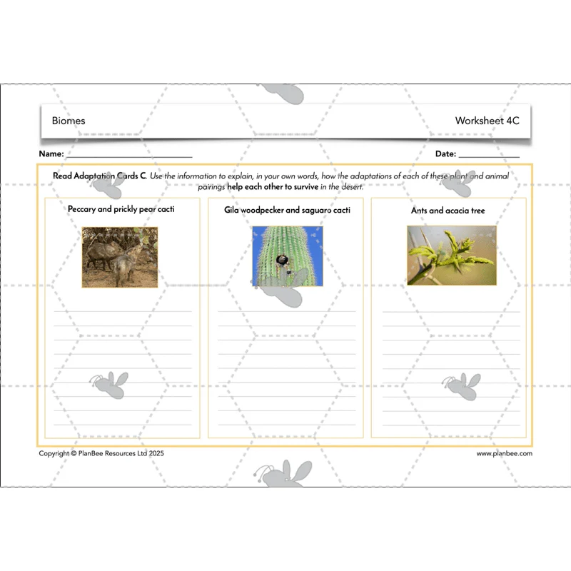 Biomes - Image 56