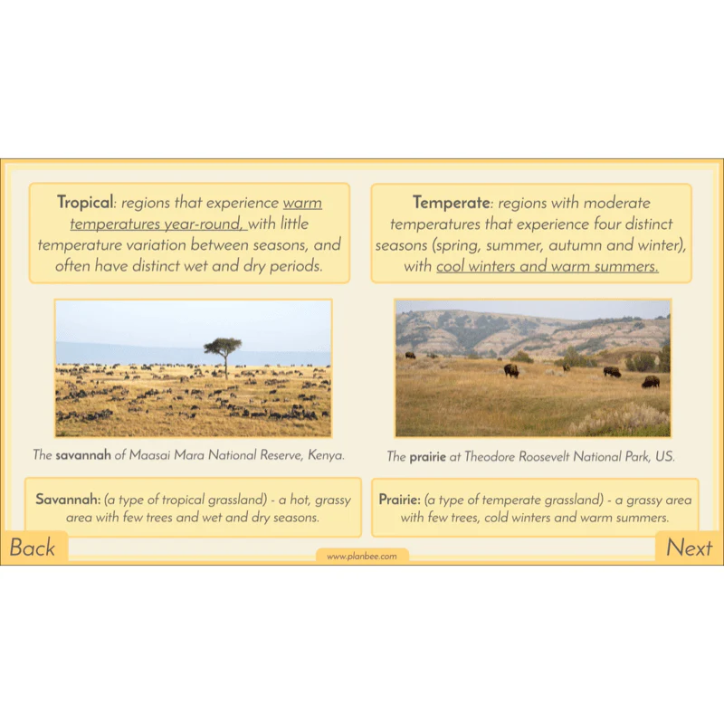Biomes - Image 59