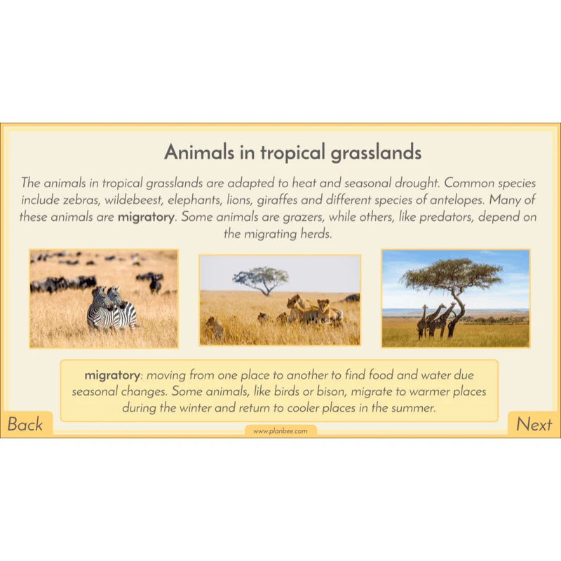Biomes - Image 60