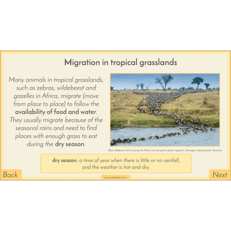 Biomes - Image 62