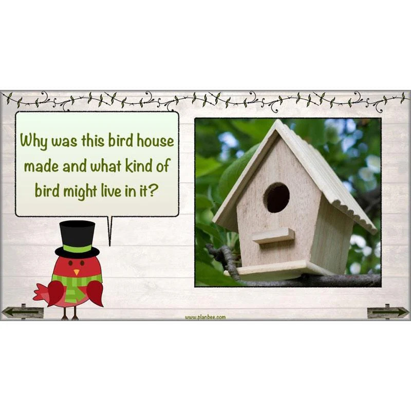 Bird House Builders - Image 3