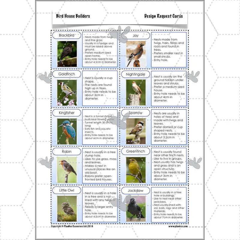 Bird House Builders - Image 49