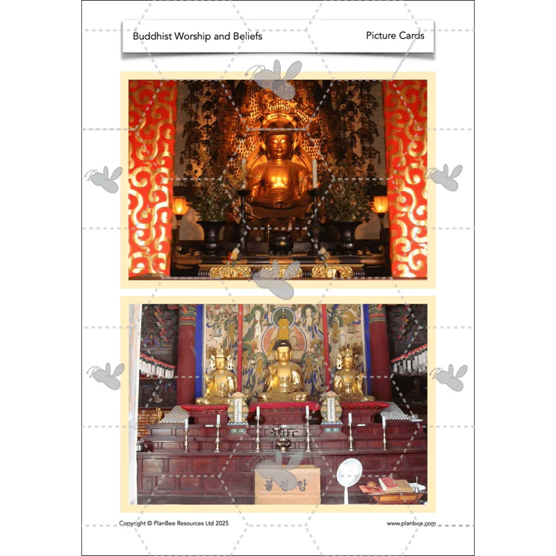Buddhist Worship and Beliefs - Image 29