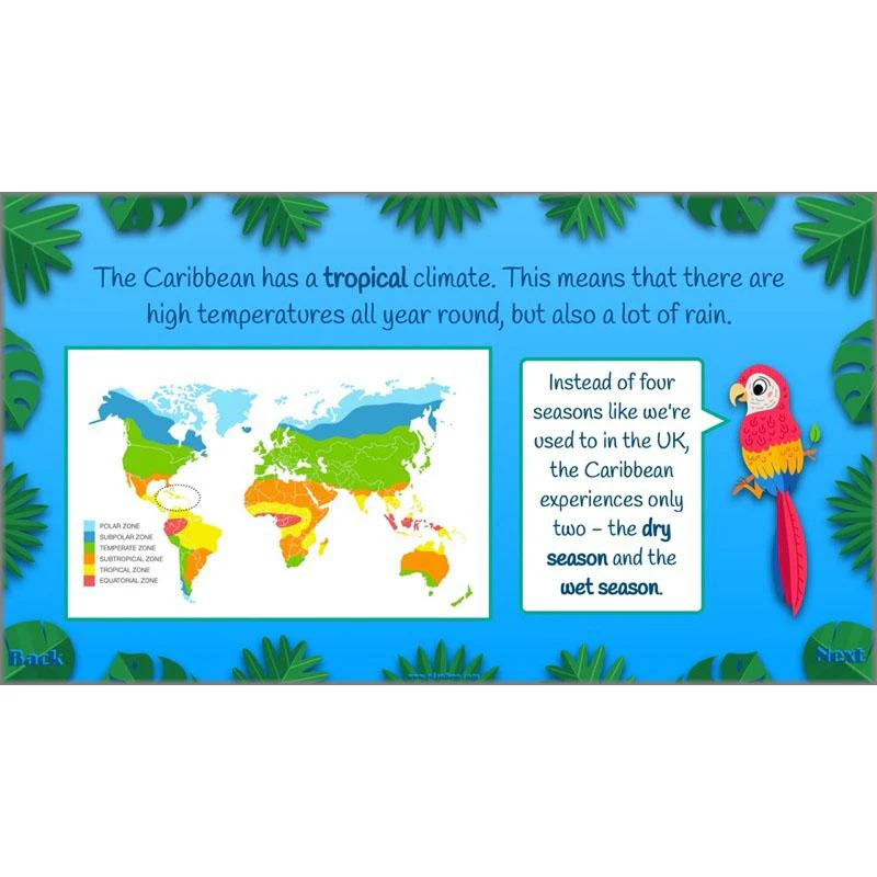 The Caribbean - Image 5
