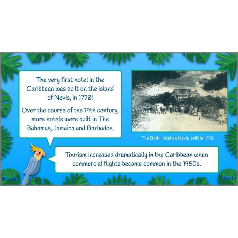 The Caribbean - Image 7