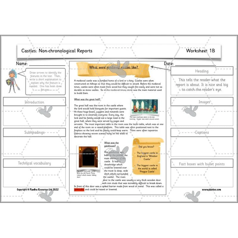 Castles: Non-chronological Reports - Image 10