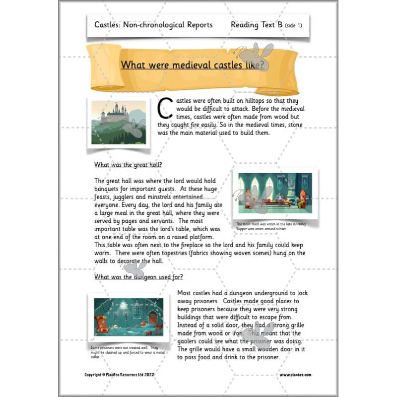 Castles: Non-chronological Reports - Image 11