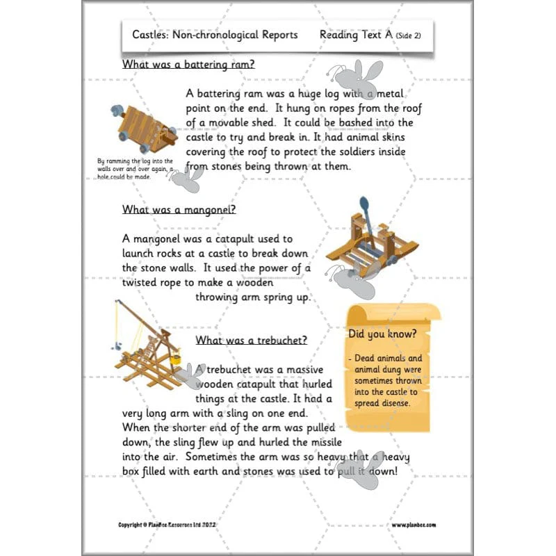 Castles: Non-chronological Reports - Image 12