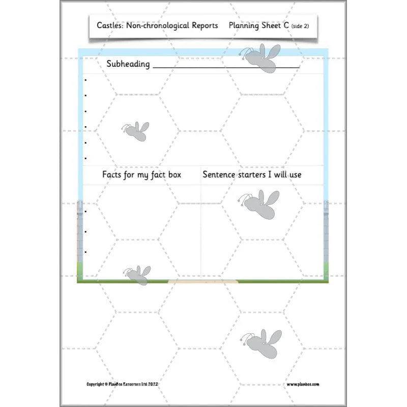 Castles: Non-chronological Reports - Image 15