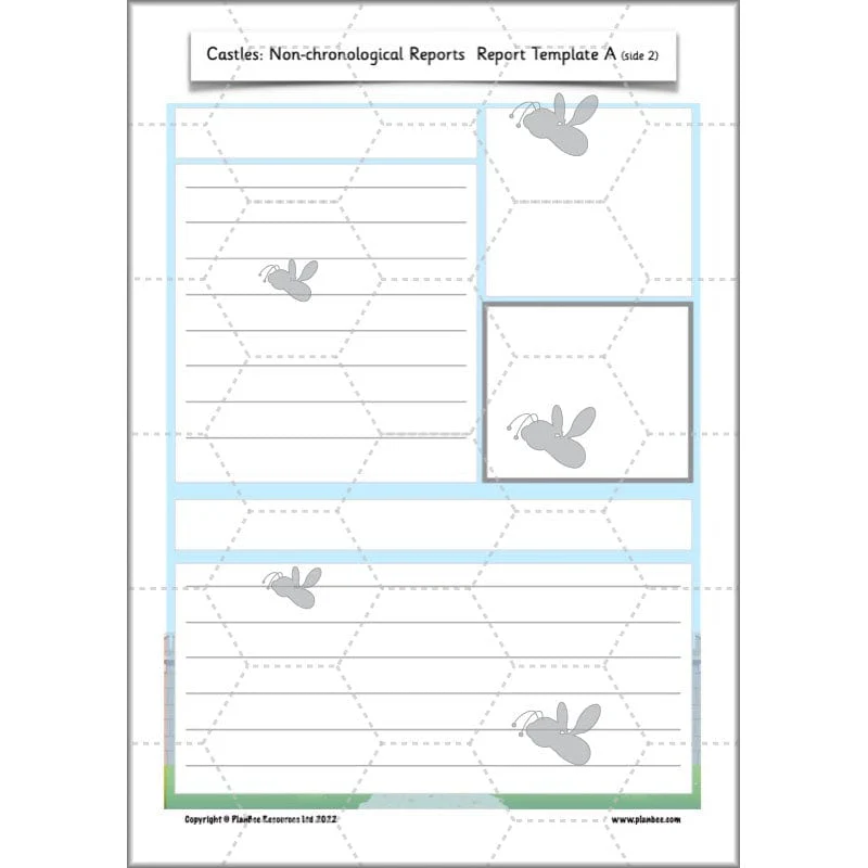 Castles: Non-chronological Reports - Image 16