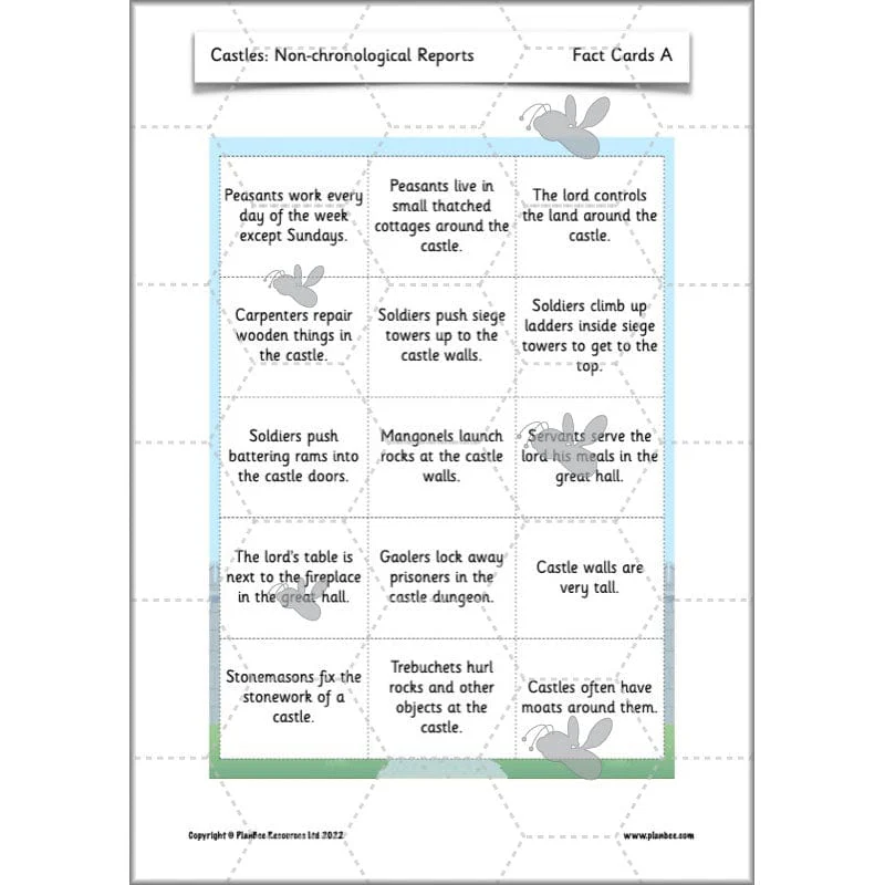 Castles: Non-chronological Reports - Image 48
