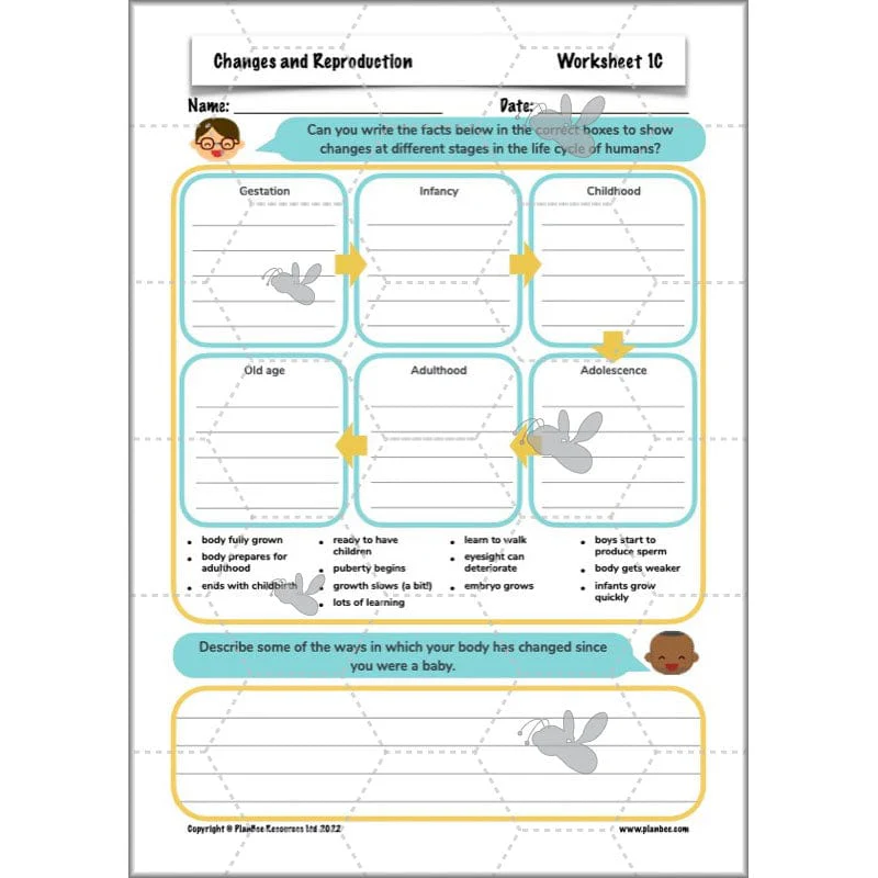 Changes and Reproduction - Image 11