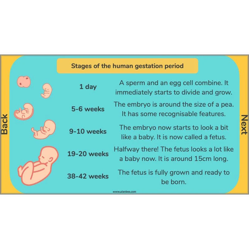 Changes and Reproduction - Image 32