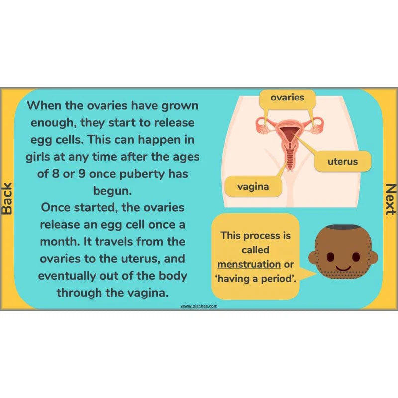 Changes and Reproduction - Image 7