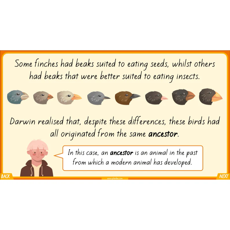 Charles Darwin - Image 7