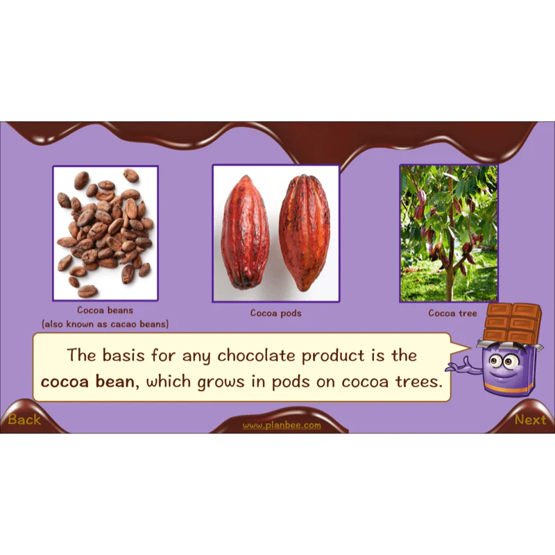 Chocolate Topic Enrichment Pack - Image 27