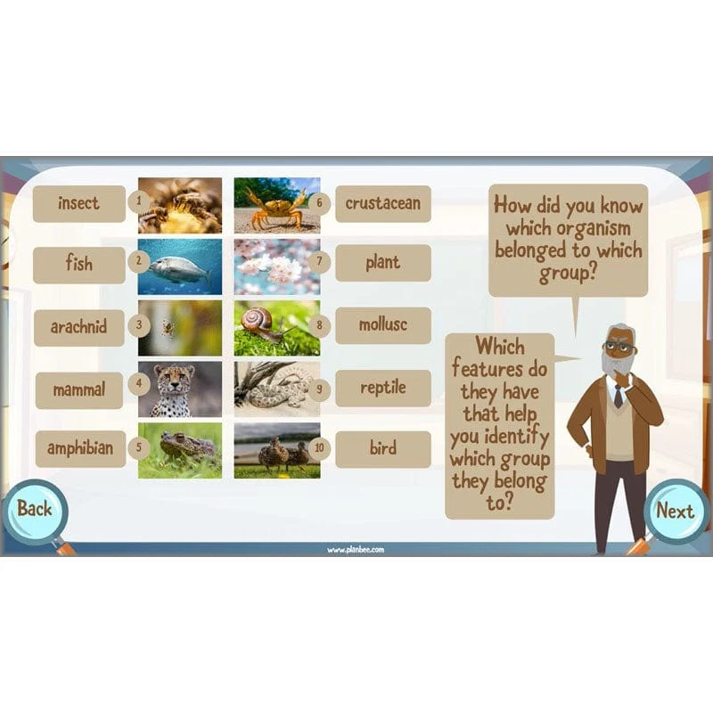 Classifying Organisms - Image 22