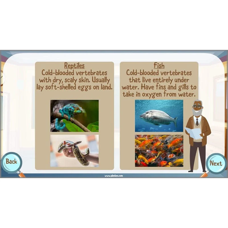 Classifying Organisms - Image 23