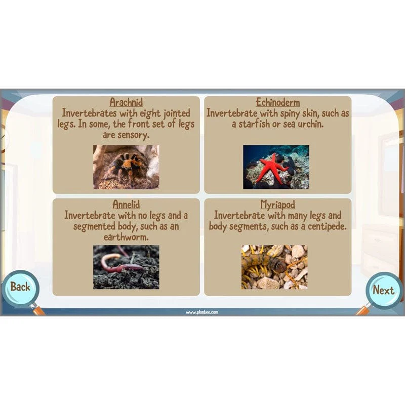 Classifying Organisms - Image 24