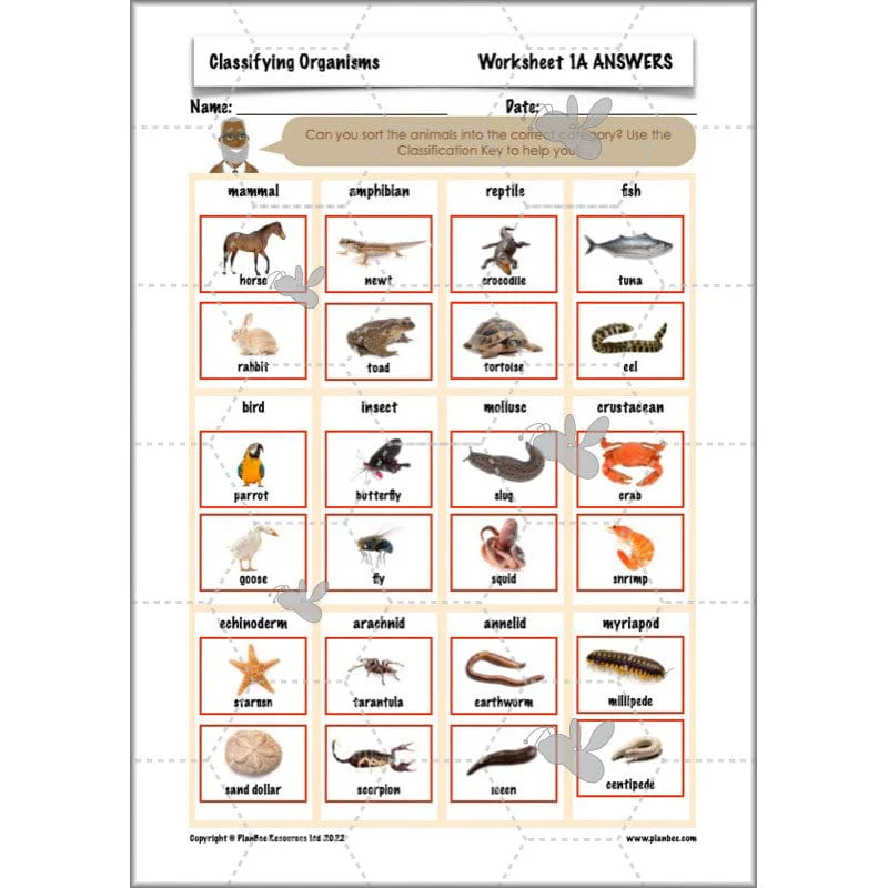 Classifying Organisms - Image 27