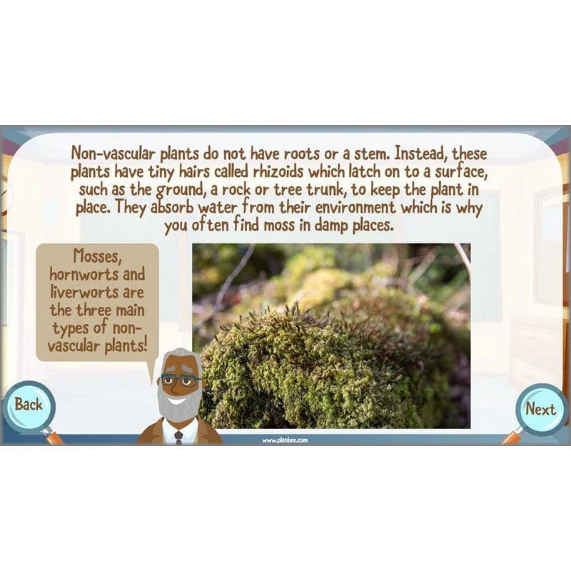 Classifying Organisms - Image 39
