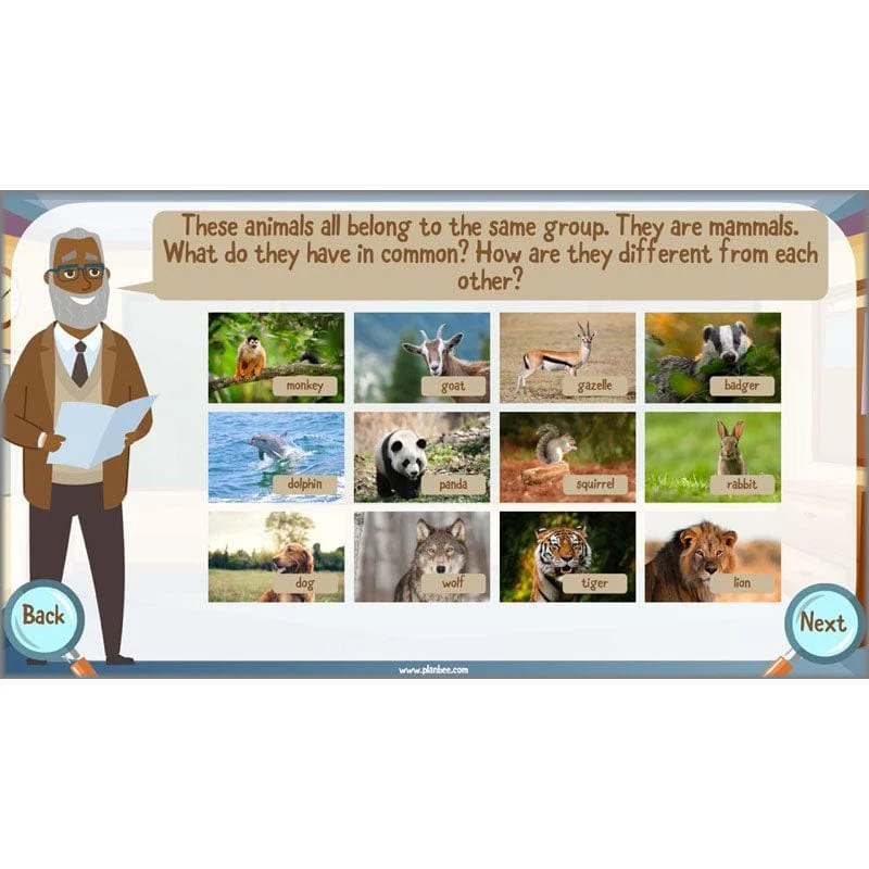 Classifying Organisms - Image 4