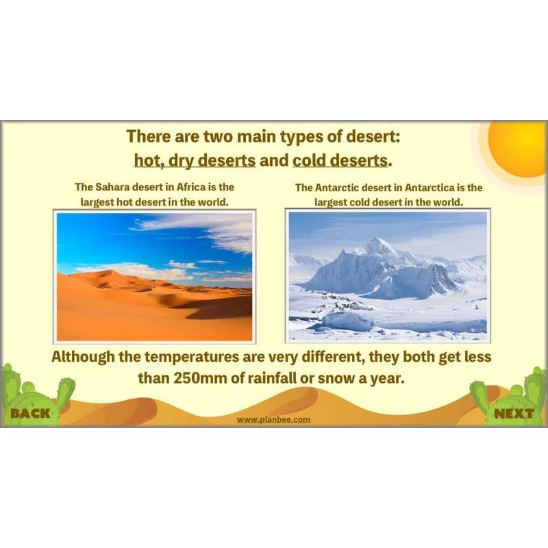 Desert Life - Image 28