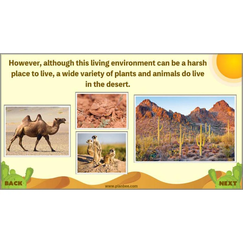 Desert Life - Image 5