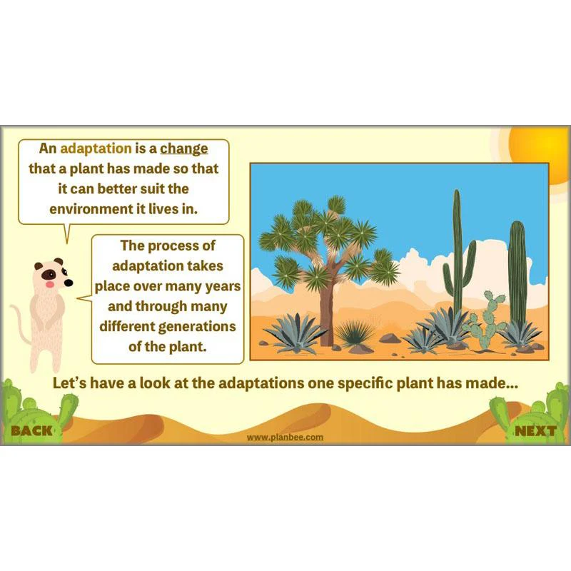 Desert Life - Image 58