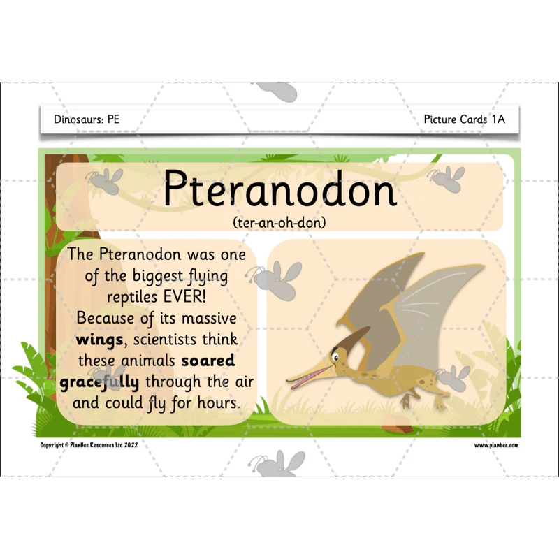 Dinosaurs KS1 Topic Enrichment Pack - Image 22