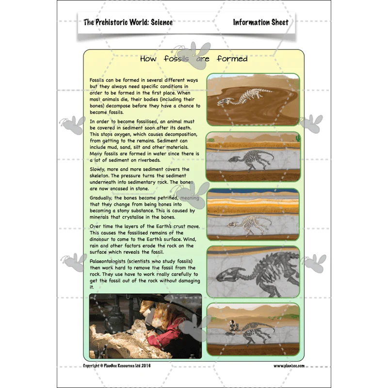 Dinosaurs KS2 Topic Enrichment Pack - Image 38