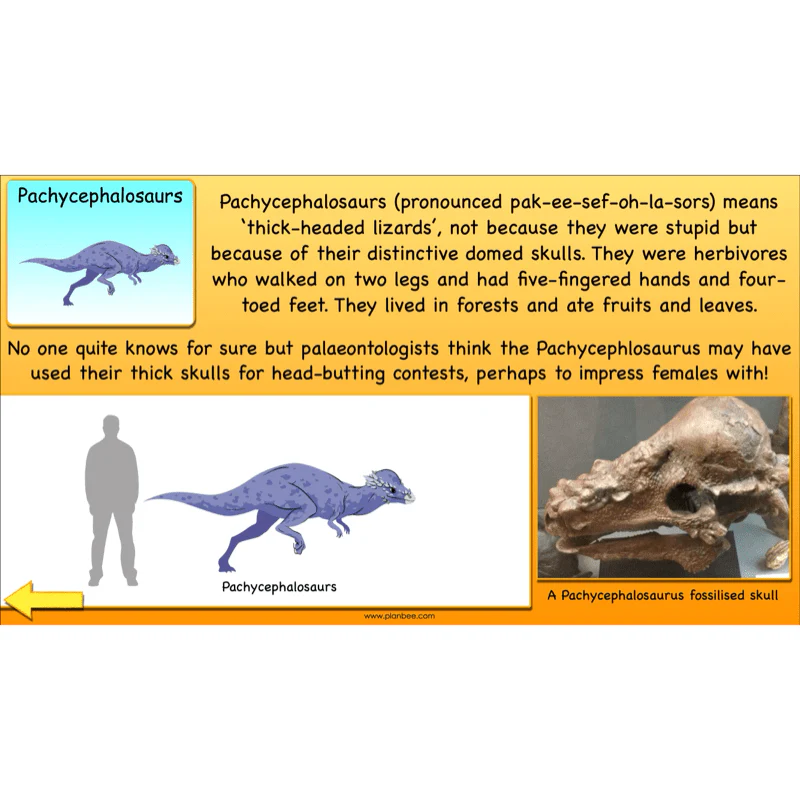 Dinosaurs KS2 Topic Enrichment Pack - Image 44