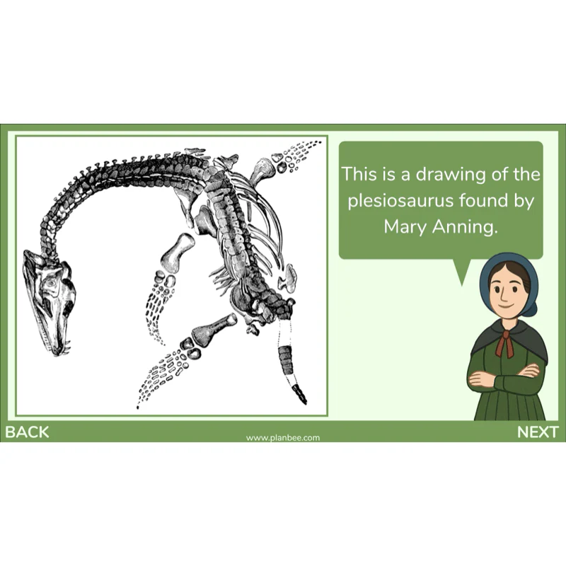 Dinosaurs KS2 Topic Enrichment Pack - Image 67