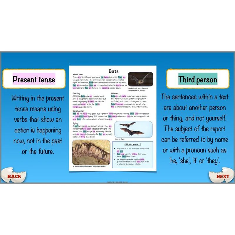 Dragons: Non-chronological Reports - Image 19
