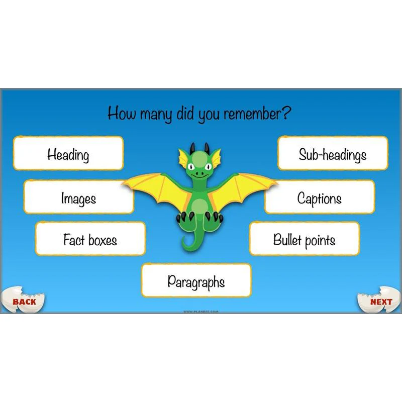 Dragons: Non-chronological Reports - Image 57