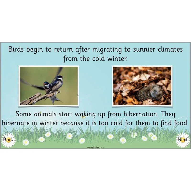 Easter Beginnings - Image 21