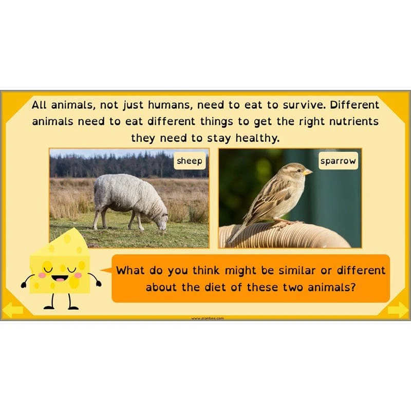 Eating and Digestion - Image 23